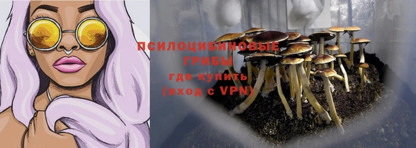 МДПВ Новозыбков