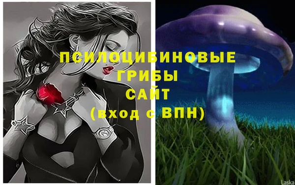 a pvp Новодвинск