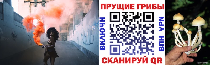 Псилоцибиновые грибы Cubensis  MEGA ссылка  Кувшиново 